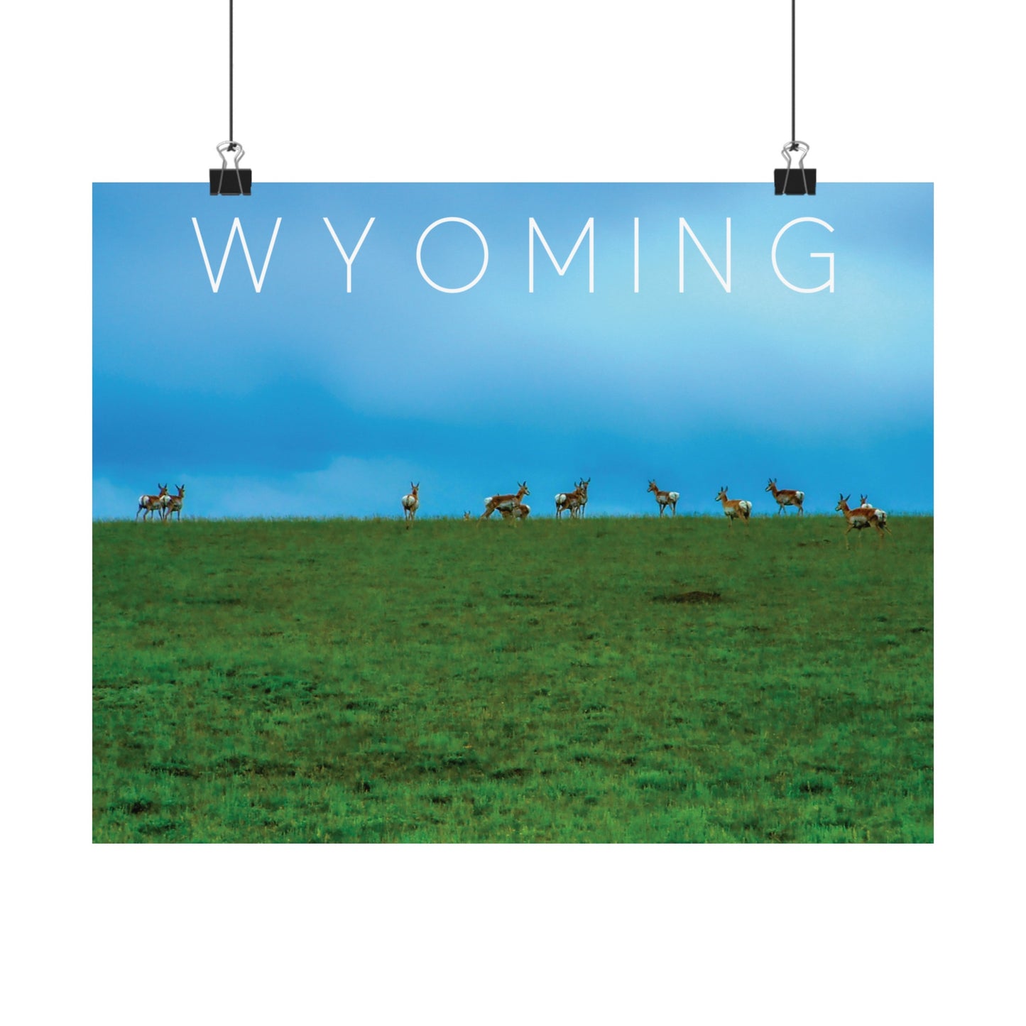 WYOMING POSTER: ANTELOPE