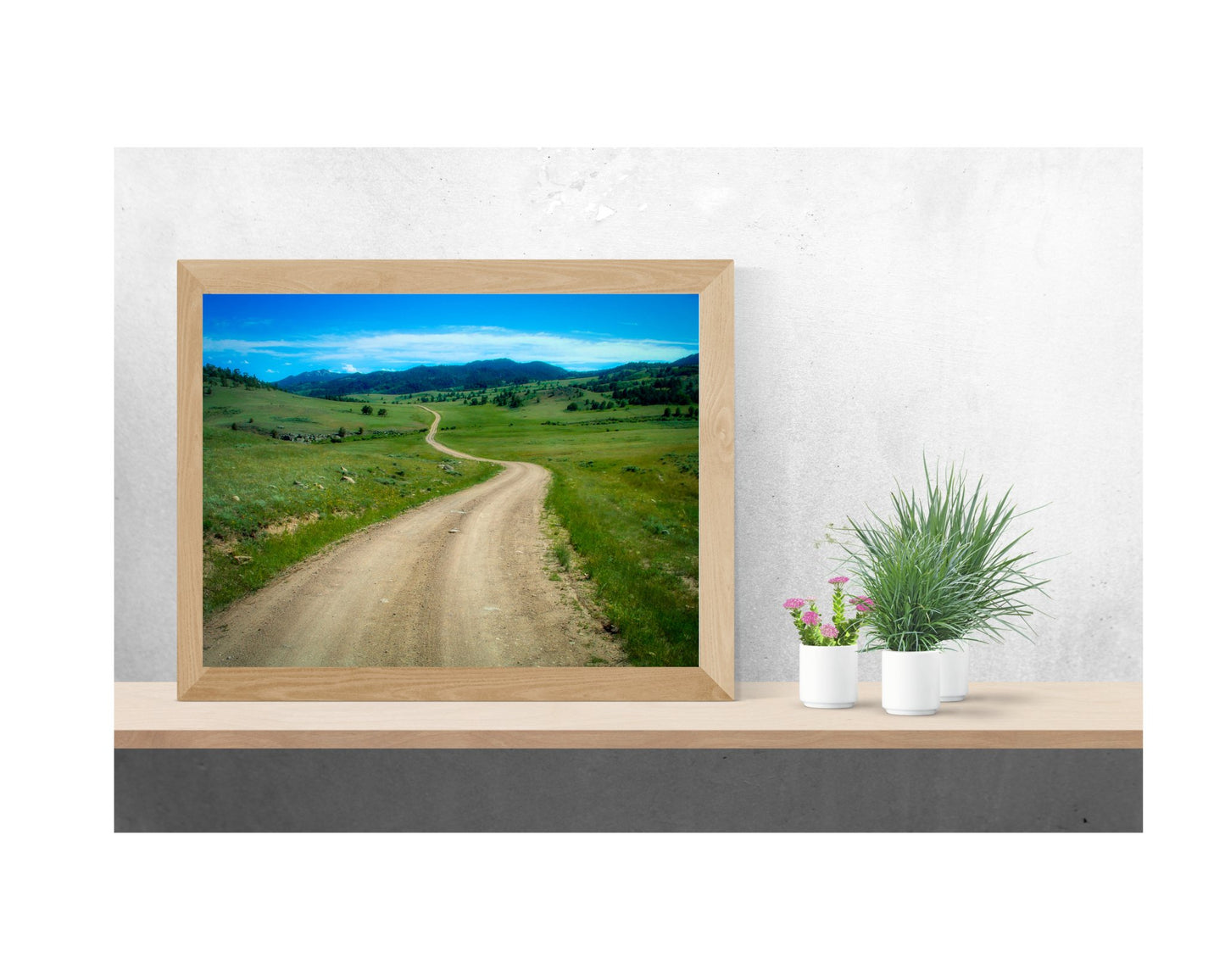 WYOMING PHOTOGRAPH: COUNTRY ROAD