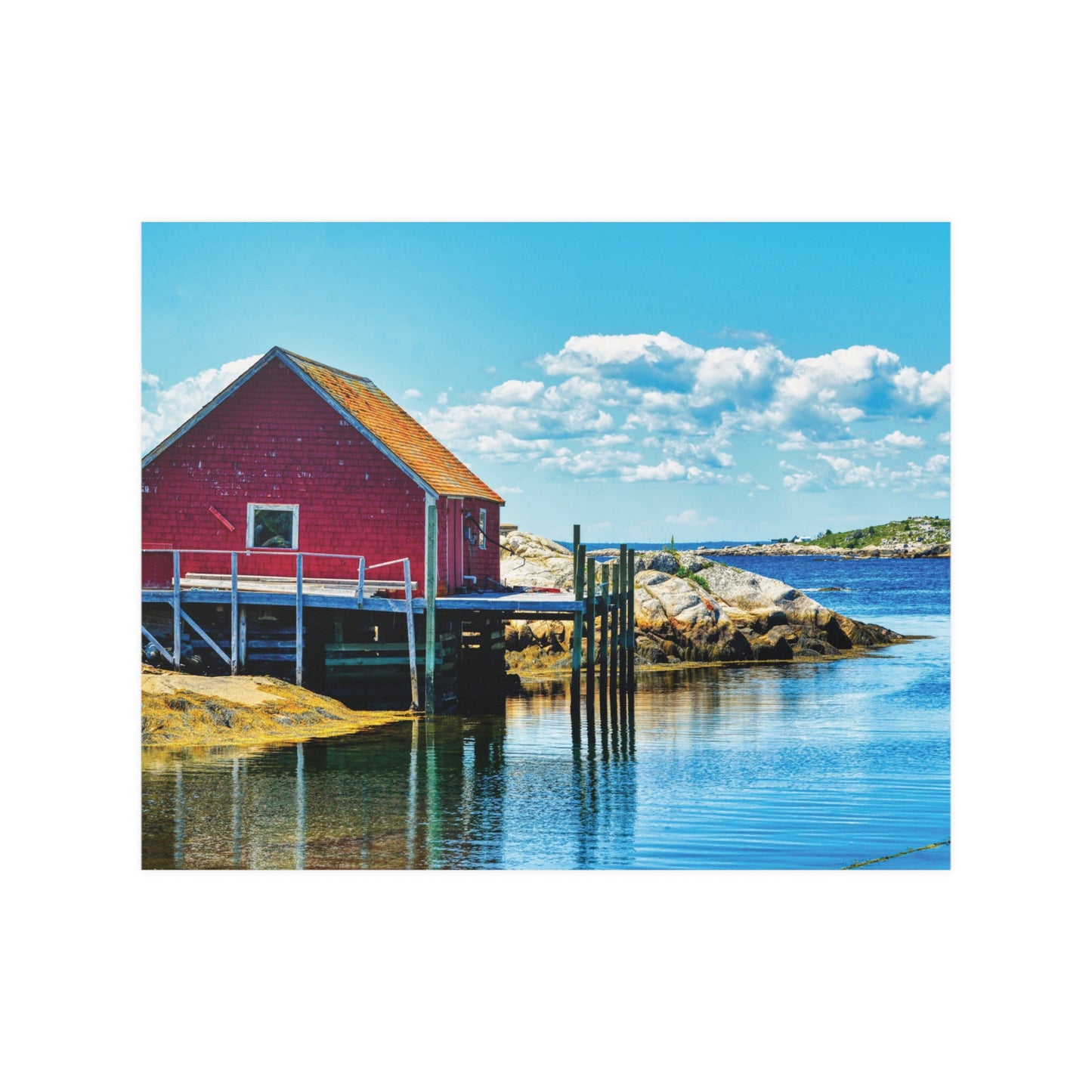 HALIFAX PHOTOGRAPH: RED SHACK